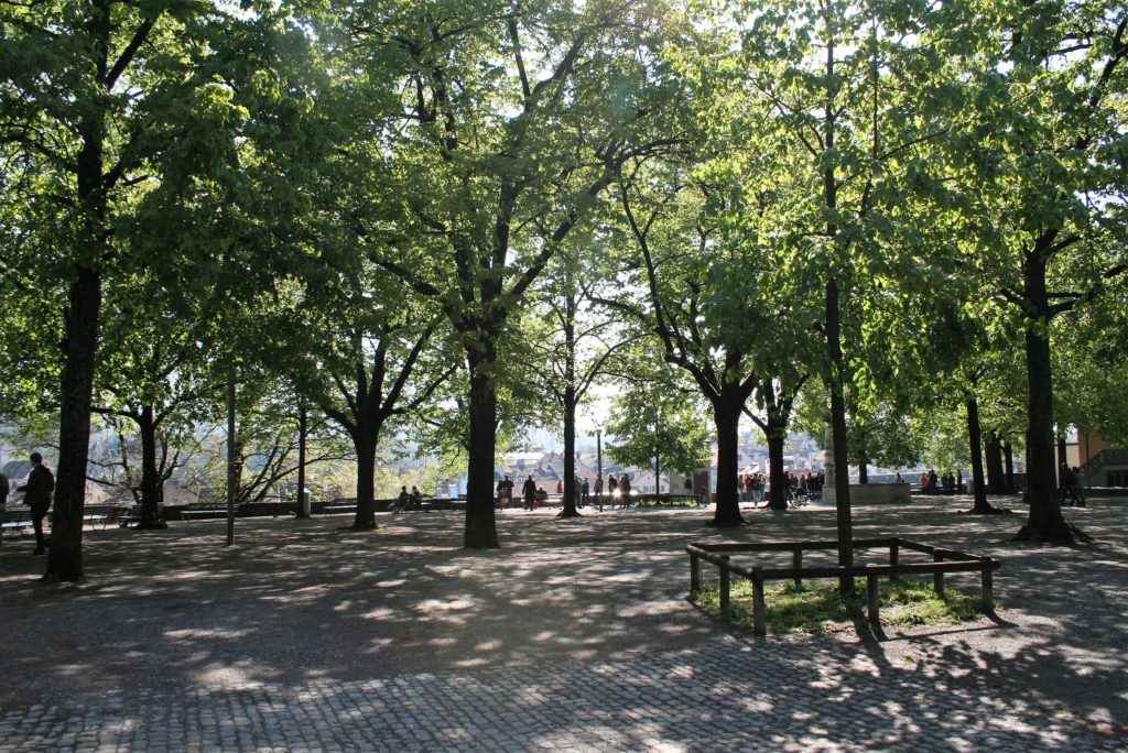 Bild auf dem Lindenhof