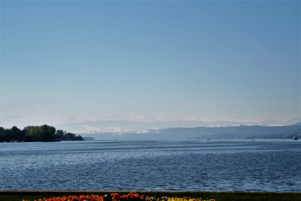 Bild Zürichsee