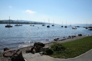 Bild Rentenwiese Eingang zum See