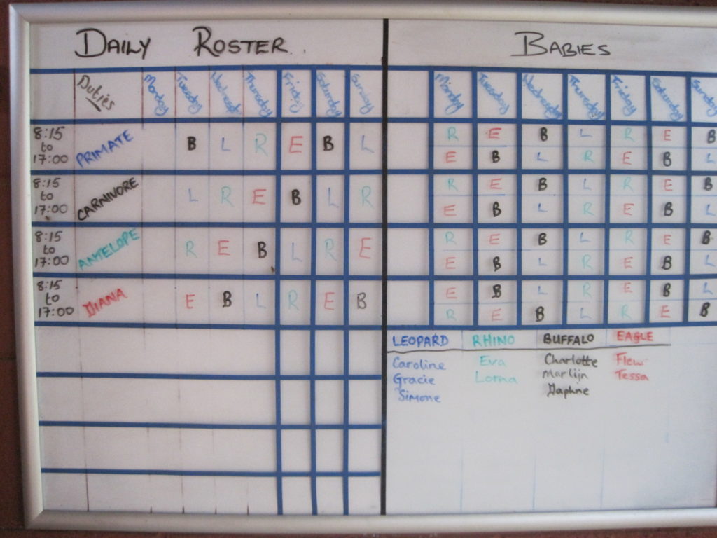 Bild Freiwilligenarbeit vom Arbeitsplan