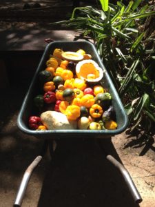 Bild Freiwilligenarbeit von der Garette