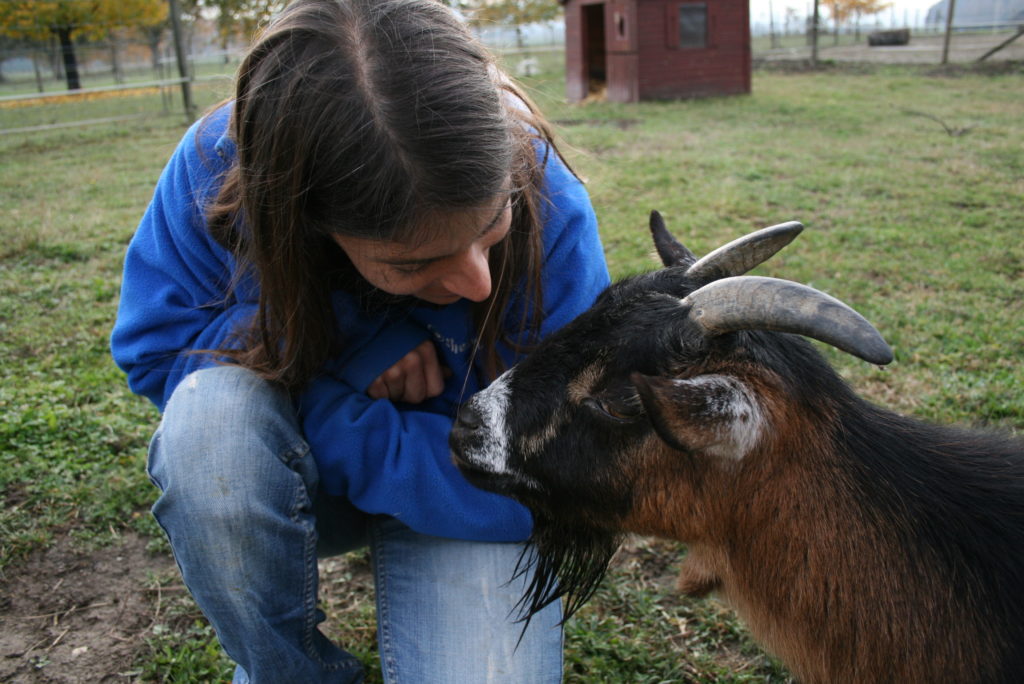 Bild zum Interview mit Ann Bachmann vom Lebenshof Tiermensch