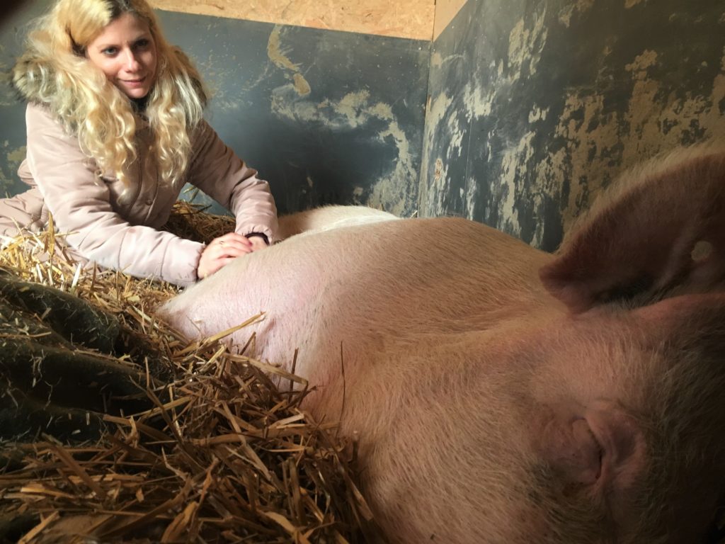 Bild zum Interview mit Ann Bachmann vom Lebenshof Tiermensch