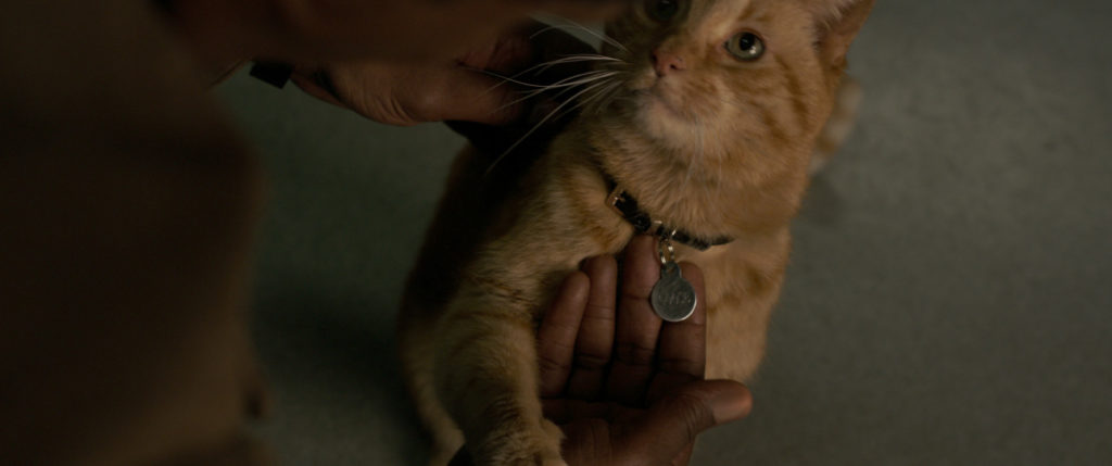 Bild aus dem Film Captain Marvel