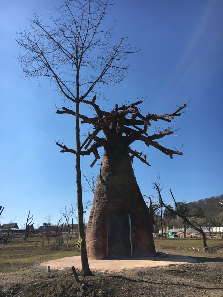 Bild der Lewa Savanne im Zoo Zürich