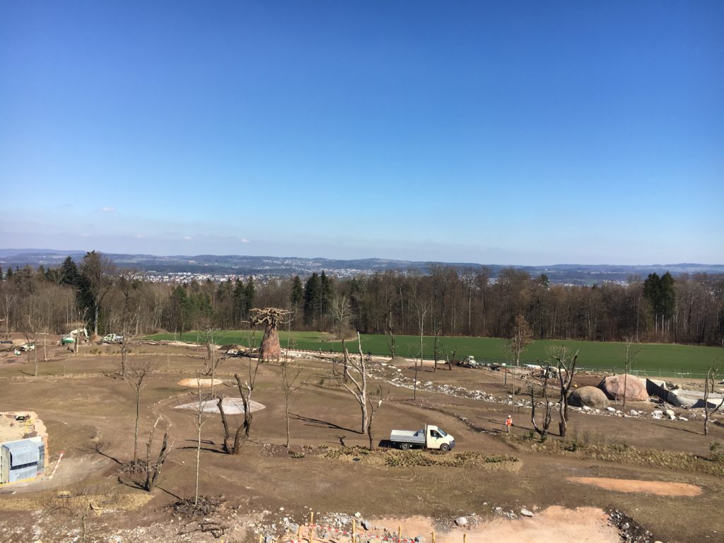 Bild der Lewa Savanne im Zoo Zürich