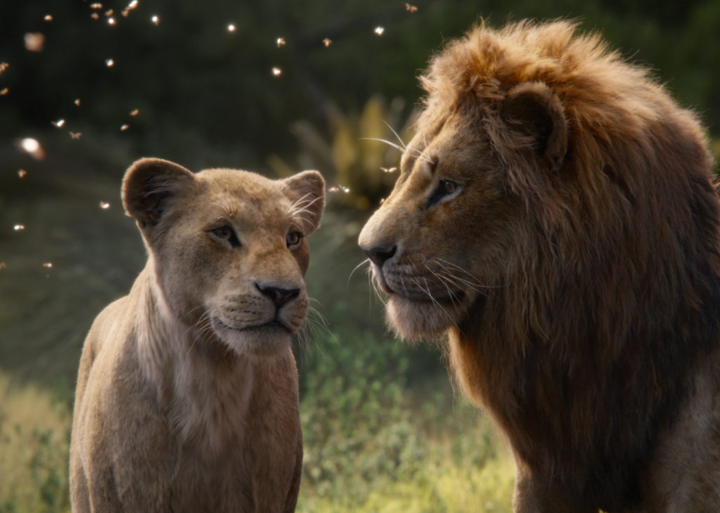 Bild aus dem Film Der König der Löwen
