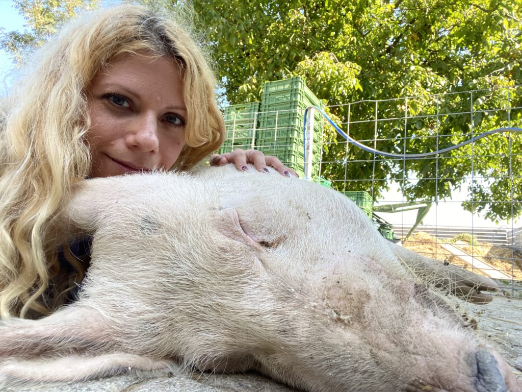 Bild von Säuli Tim und mir Hof Narr