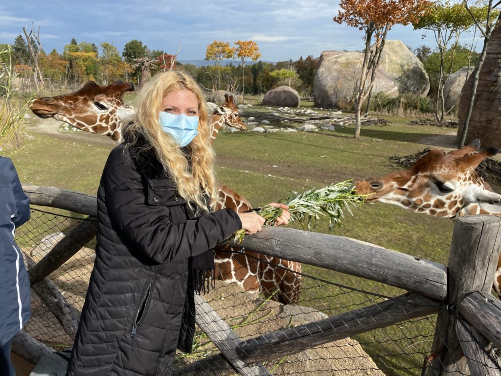 Bild einer Netzgiraffe im Zoo Zürich und mir