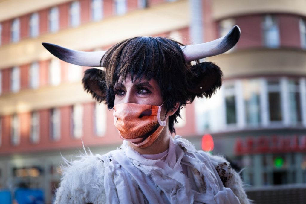 Bild von Daniel Hellmann, Soya the Cow
