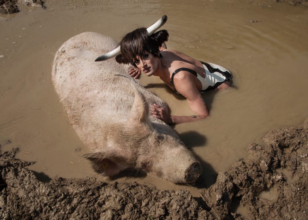 Bild von Daniel Hellmann, Soya the Cow