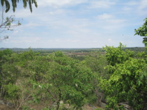 Bild Freiwilligenarbeit von Matopos