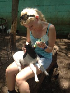 Bild Freiwilligenarbeit wie ich Lämmchen Dotty füttere