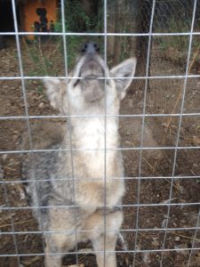 Bild Freiwilligenarbeit von Jacky