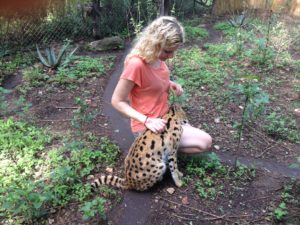 Bild Freiwilligenarbeit Prince und ich