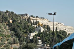 Bild von der Kirche Maria Magdalena