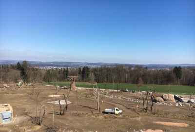 Bild der Lewa Savanne im Zoo Zürich