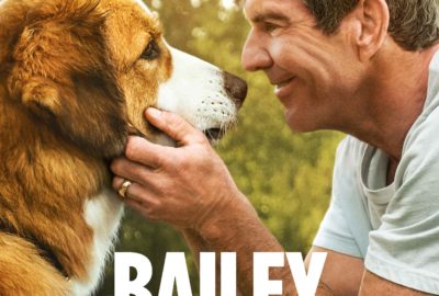 Bild aus dem Film Bailey - Ein Hund kehrt zurück