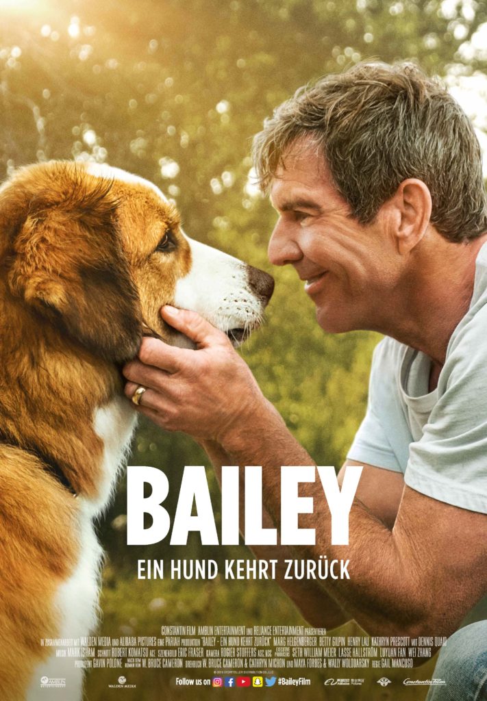 Bild aus dem Film Bailey - Ein Hund kehrt zurück