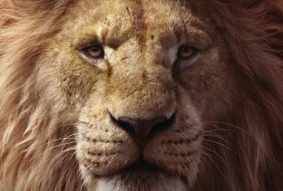 Bild aus dem Film Der König der Löwen