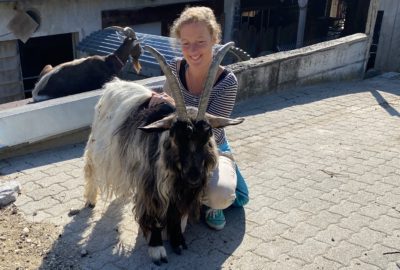 Bild von Sarah Heiligtag Hof Narr