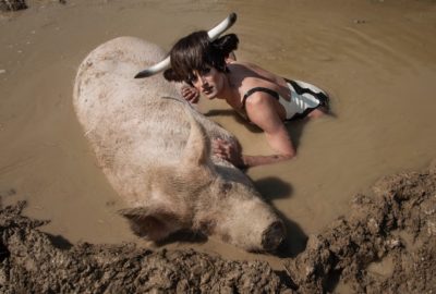 Bild von Daniel Hellmann, Soya the Cow