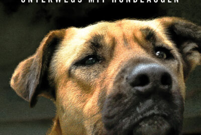 Bild aus dem Film Streuner