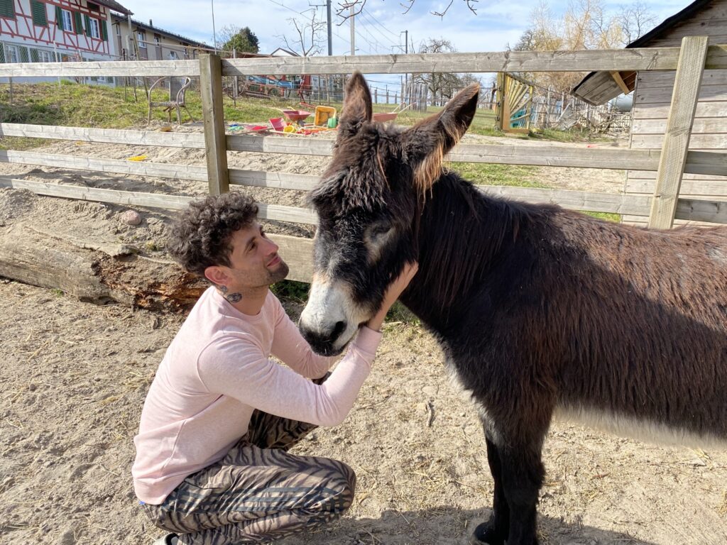 Bild von Daniel Hellmann