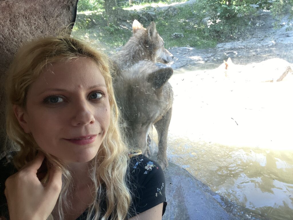 Bild der Wölfe und mir im Zoo Zürich