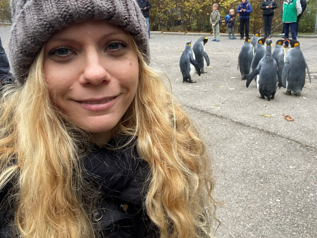 Bild der Pinguine im Zoo Zürich und Daphne Chaimovitz