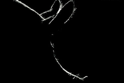 Bild aus dem Film Gunda