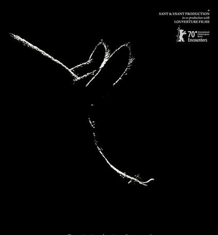 Bild aus dem Film Gunda