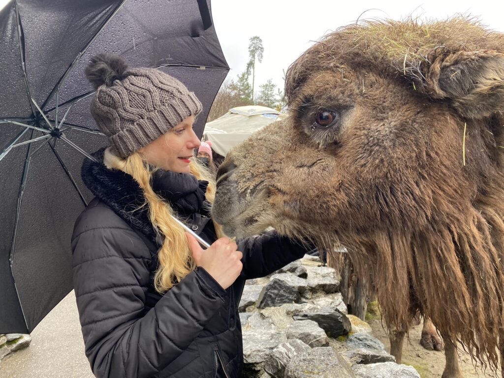 Bild von Trampeltier Ona und Daphne Chaimovitz im Zoo Zürich