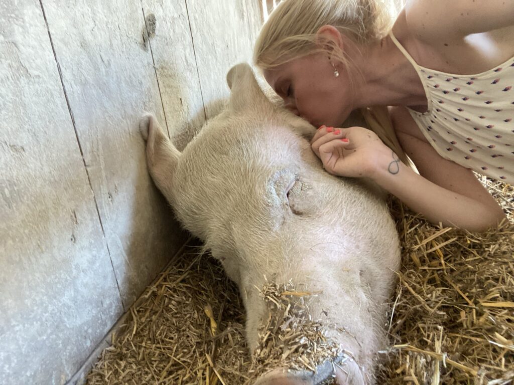 Bild von Timi und Daphne Chaimovitz auf dem Lebenshof Hof Narr