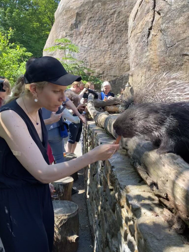 Bild des Stachelschweins Kymani im Zoo Zürich und Daphne Chaimovitz