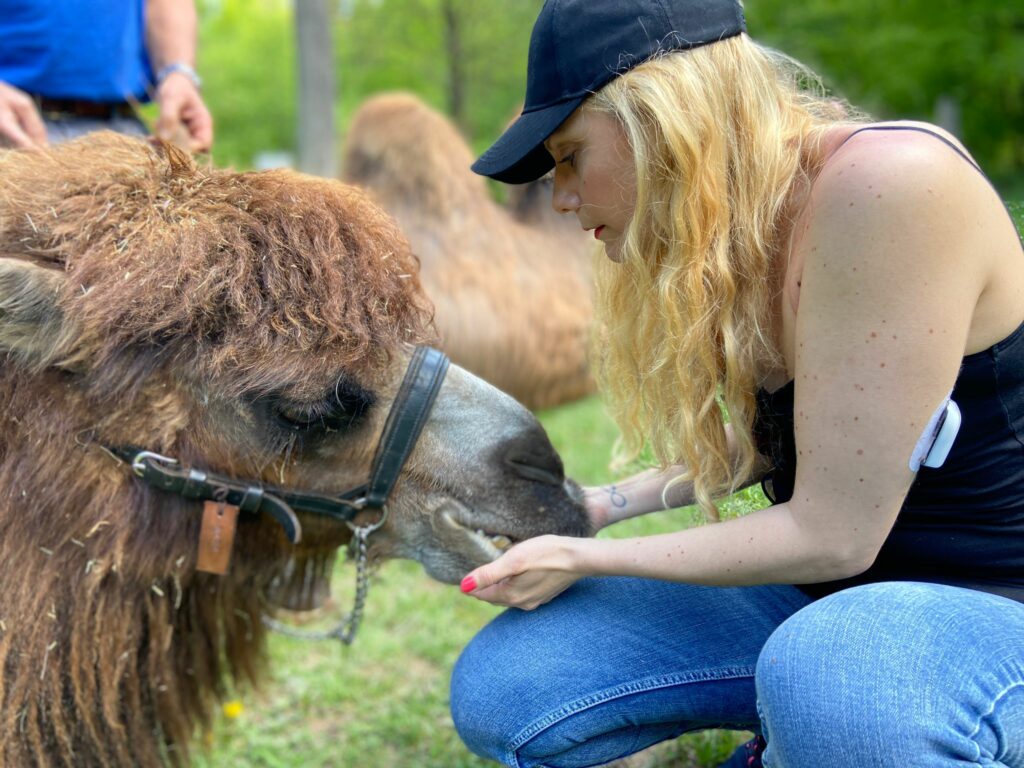 Bild des Trampeltiers im Zoo Zürich und Daphne Chaimovitz