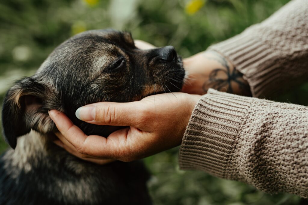 Bild von Karoline Heling