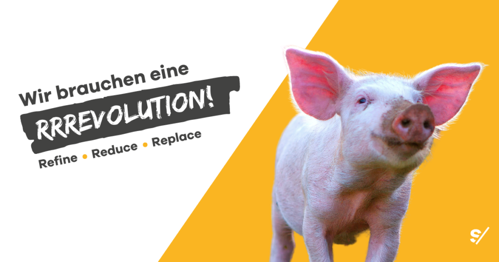 Bild ders 3R-Projekts Sentience Politics