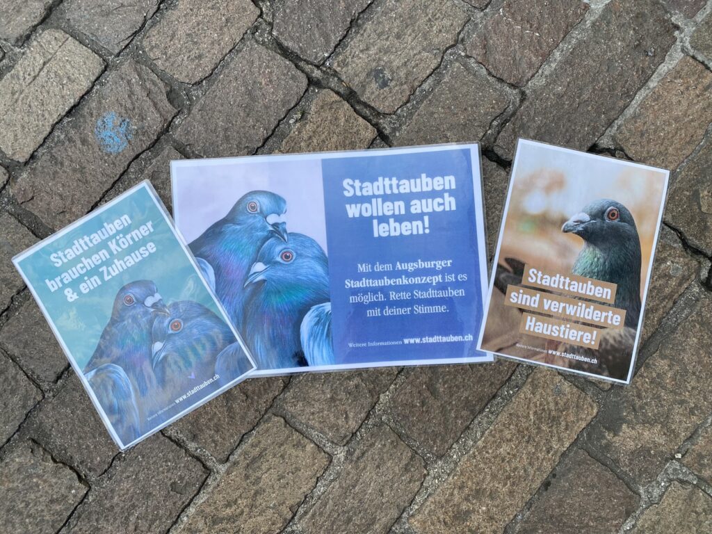 Bild Plakate für die Stadttauben