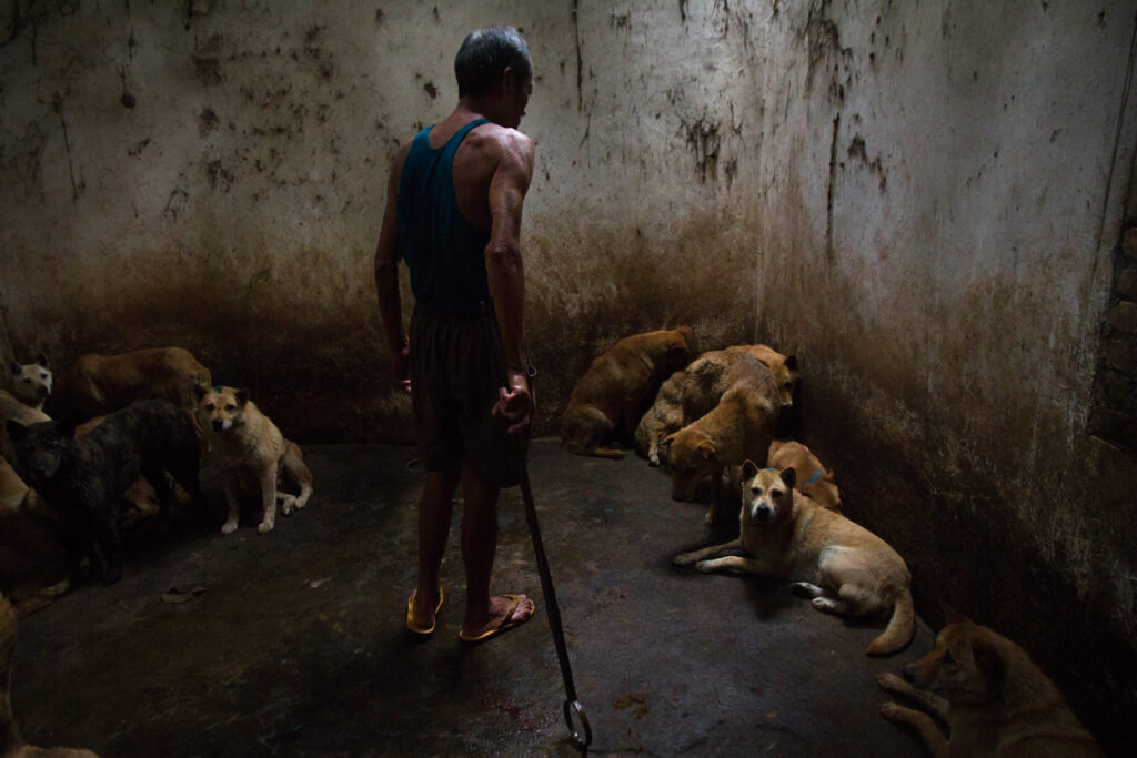 Bilder der Fotoausstellung «Hidden – Tiere im Anthropozän»