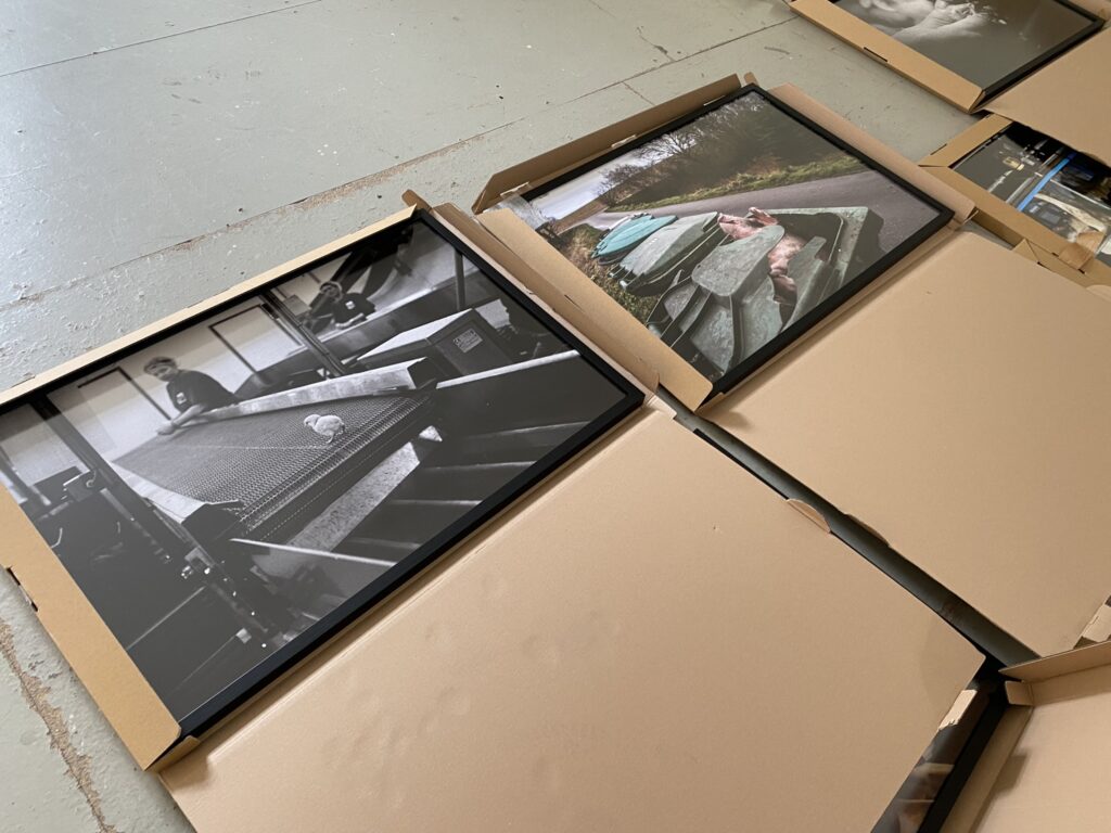 Bilder der Fotoausstellung «Hidden – Tiere im Anthropozän»