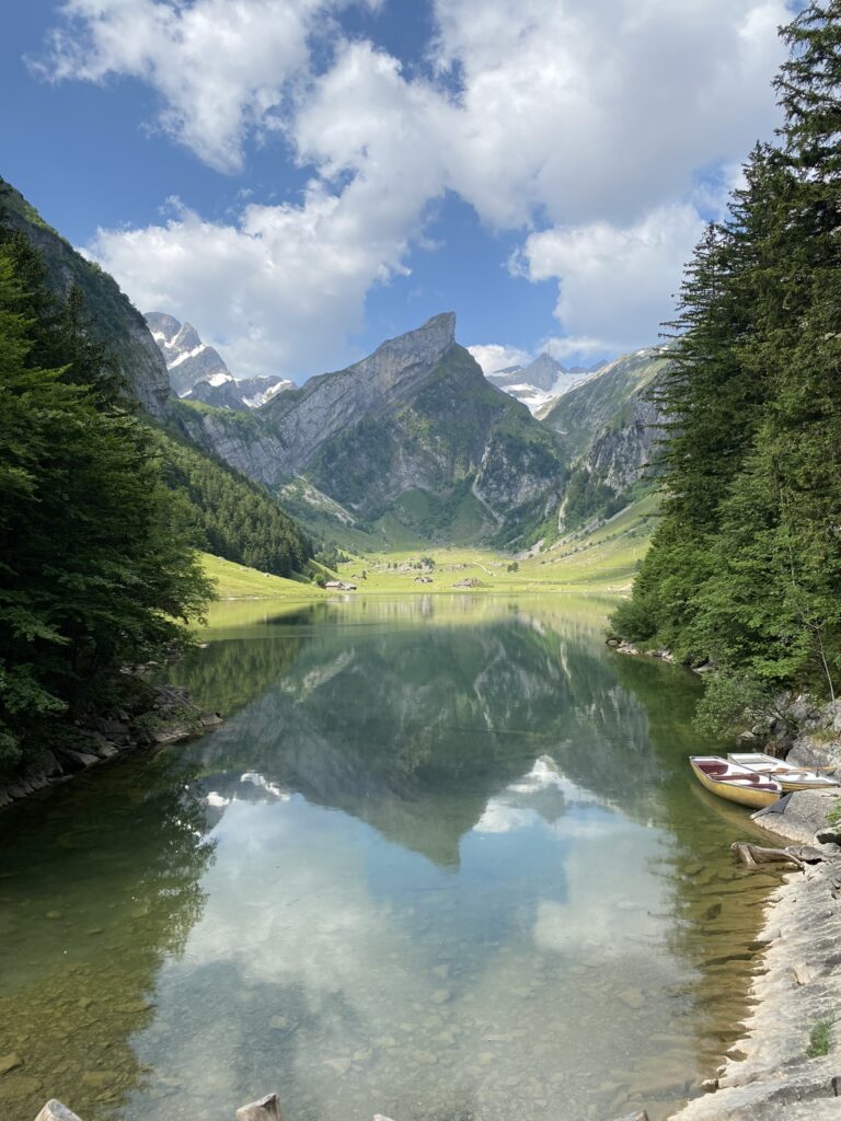 Bild vom Seealpsee