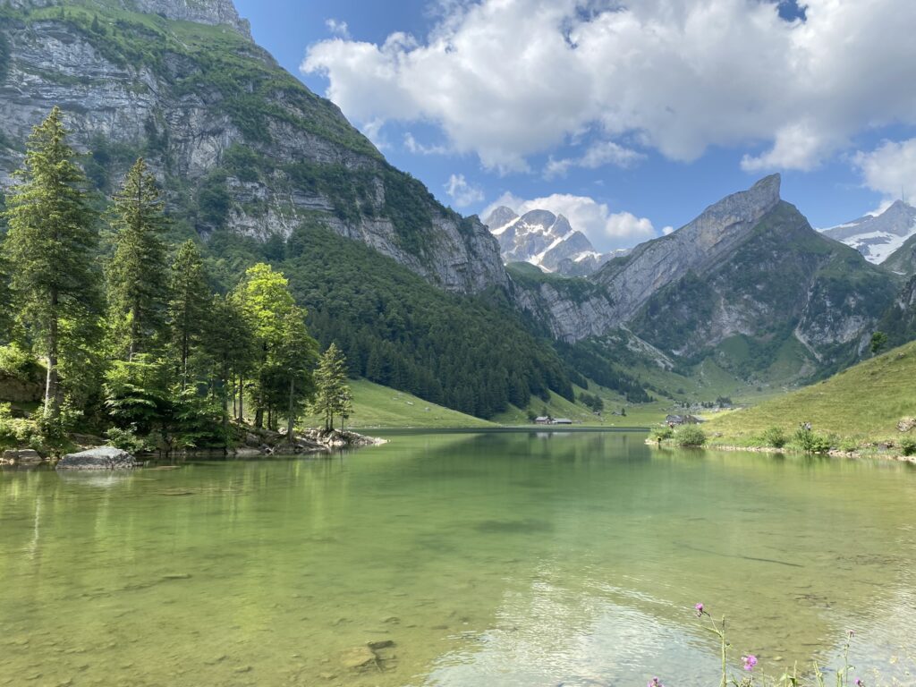 Bild vom Seealpsee