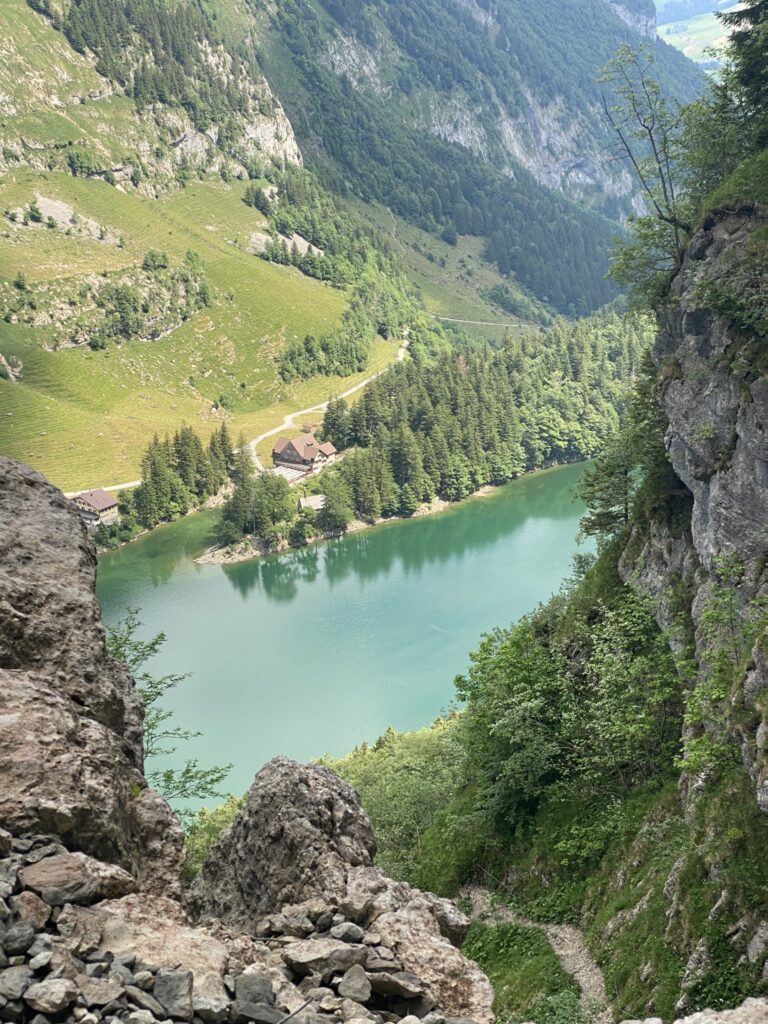 Bild vom Seealpsee von oben