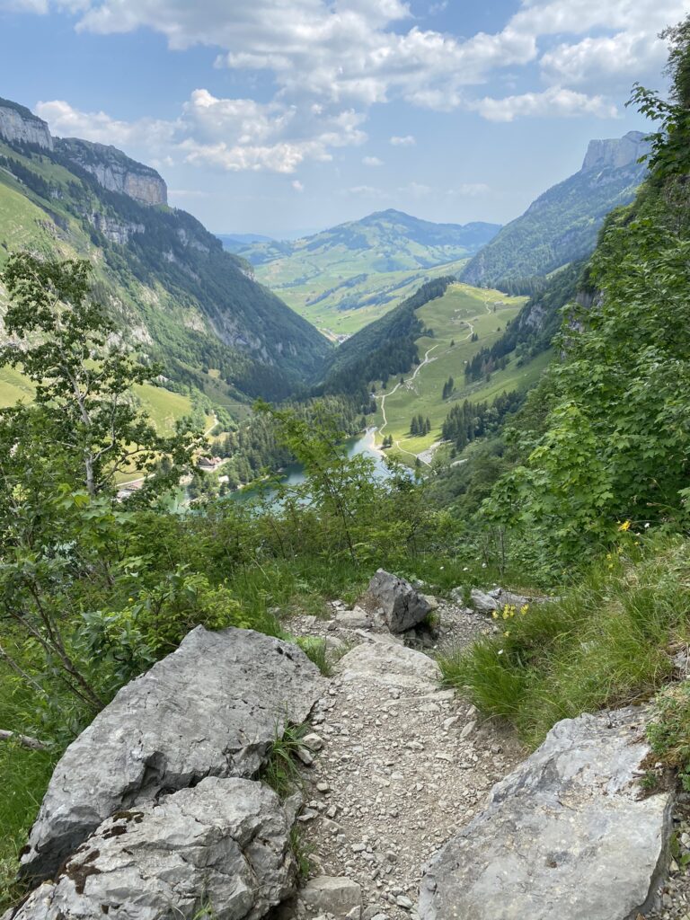 Bild vom Seealpsee von oben