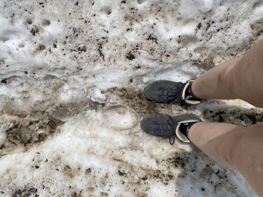 Bild vom Schnee auf dem Widderalpsattel