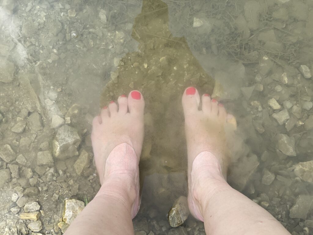 Bild von Daphne Chaimovitz Füssen im Fälensee