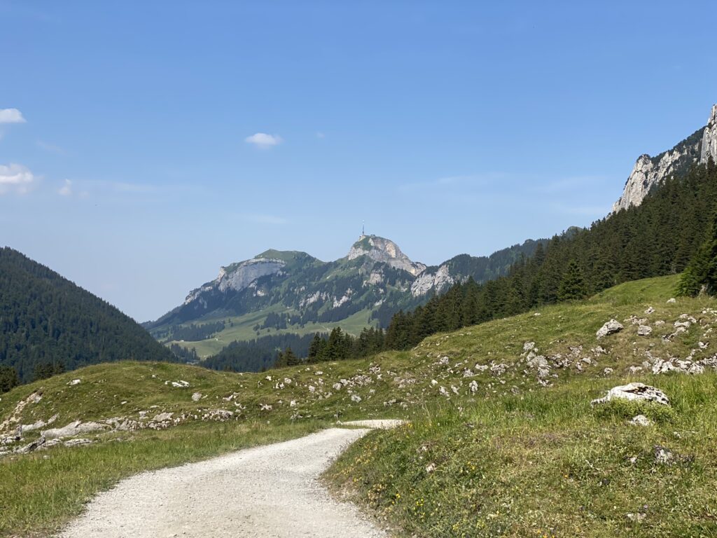 Bild mit Blick auf den Säntis