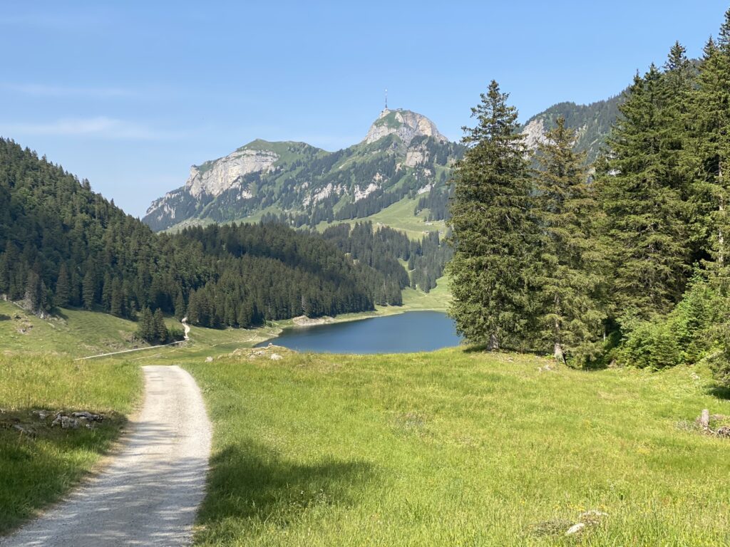 Bild des Sämtisersees