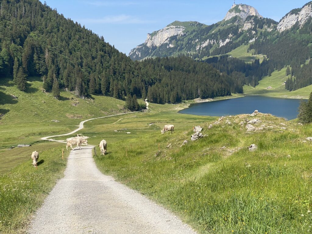 Bild des Sämtisersees
